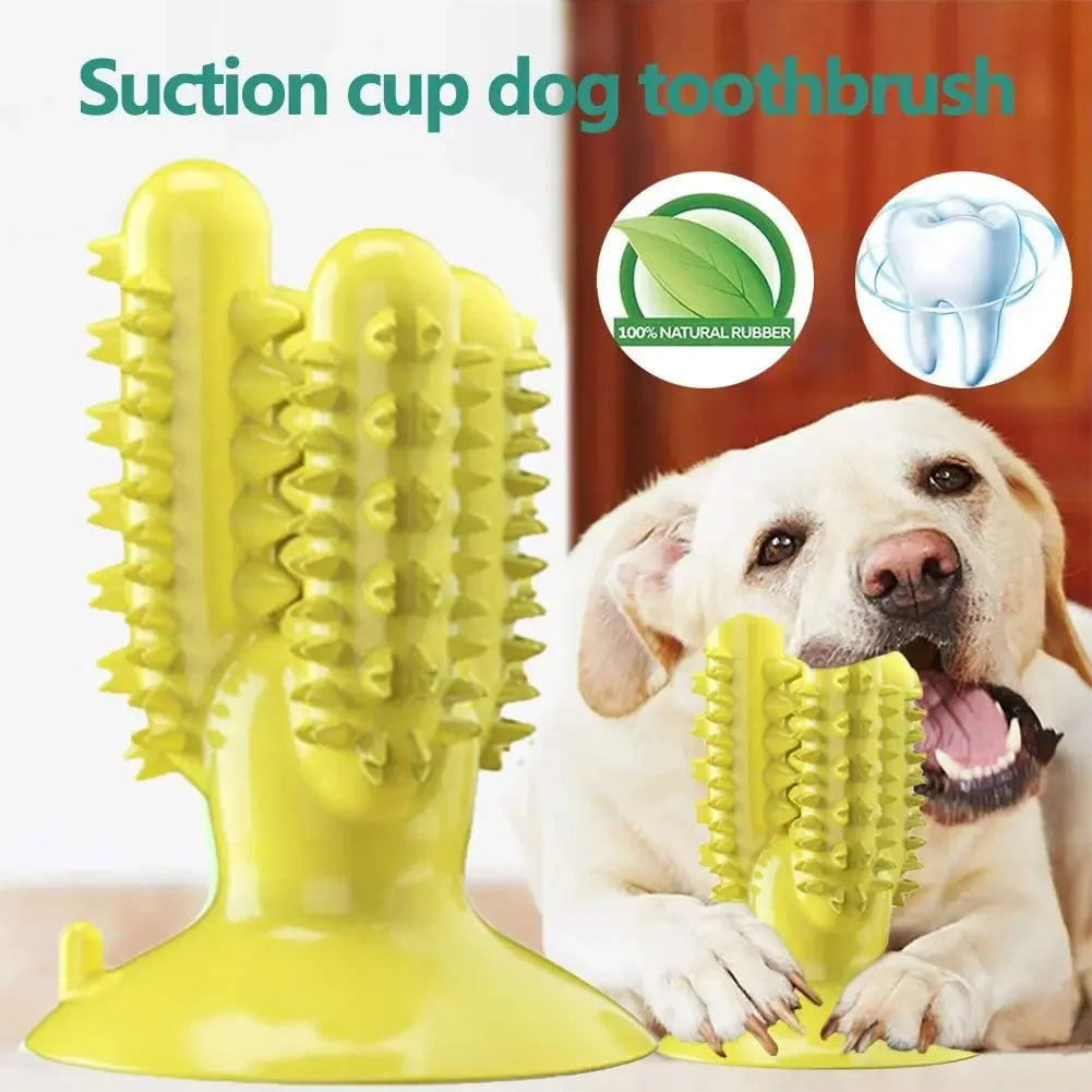 NEW Dog Toothbrush Toys for Dogs Interactive Toy Training IQ Teeth Cleaning Durable Small Medium Large Dog Puppy Chewing