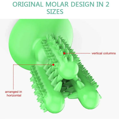 NEW Dog Toothbrush Toys for Dogs Interactive Toy Training IQ Teeth Cleaning Durable Small Medium Large Dog Puppy Chewing