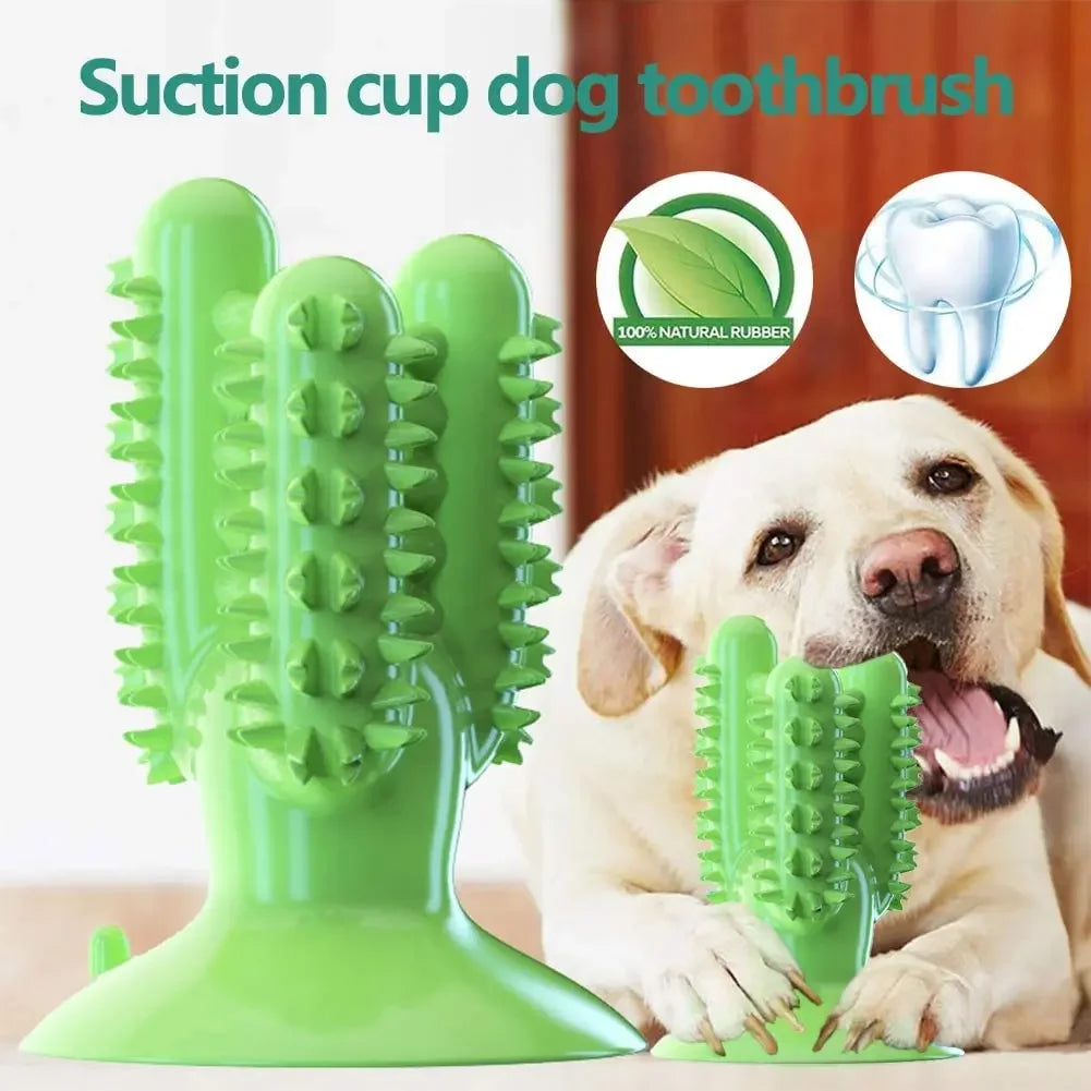 NEW Dog Toothbrush Toys for Dogs Interactive Toy Training IQ Teeth Cleaning Durable Small Medium Large Dog Puppy Chewing